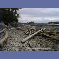 2001_126_Typhoon Island_Kildidt_Sound.html